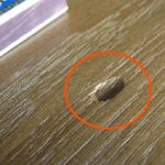 дыра на столешнице
