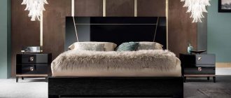 Functions of black in organizing the interior of a dark bedroom