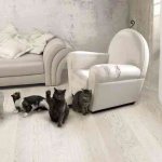 Как восстановить поцарапанный диван и что делать после этого с котом