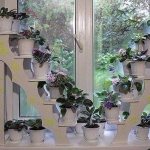 picture of a flower shelf on a windowsill