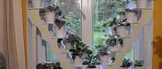 picture of a flower shelf on a windowsill