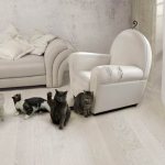 кот царапает мебель