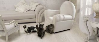 кот царапает мебель