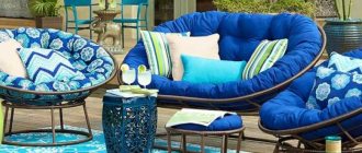 Design features of the Papasan chair, its species diversity
