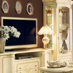 Features of choosing display cabinets for the living room, existing options