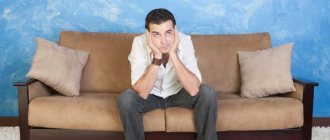 Why do sofas squeak, how to fix the situation on your own