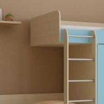 Existing bunk beds with wardrobe and their characteristic features